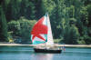 Nimble 30 flying a spinnaker