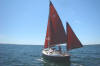 Nimble 20 on a port tack