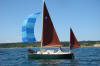 Nimble 20 flying a spinaker