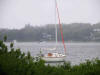 Mango at anchor