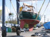 Launching Yin Yang in Spring 2008